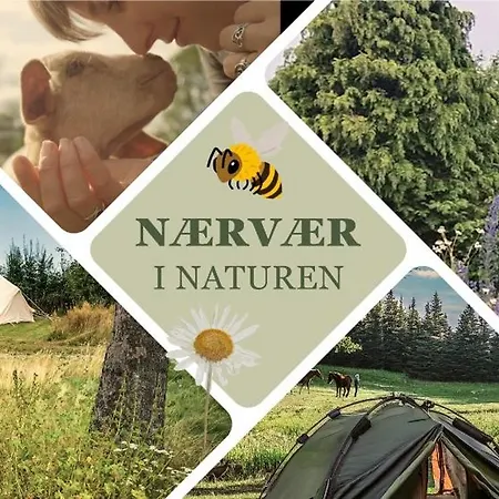 Κάμπινγκ Langeland Rudkøbing