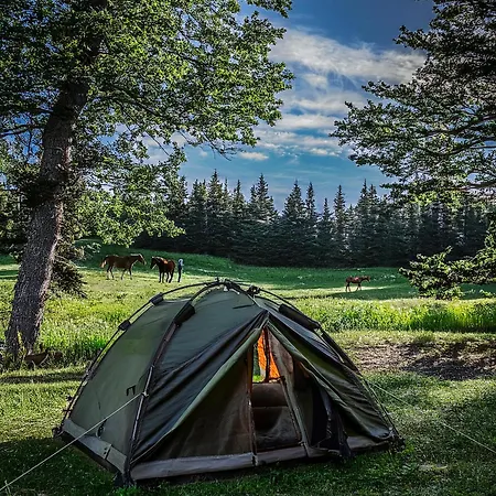 Parque de Campismo Langeland
