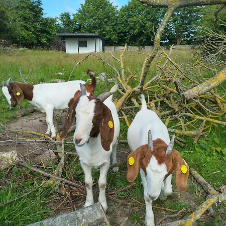 Langeland Κάμπινγκ