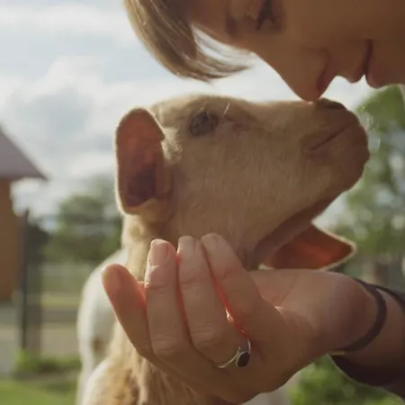 Κάμπινγκ Langeland