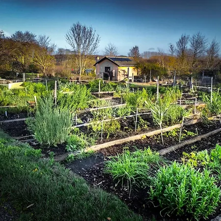 Langeland * 鲁德克丙